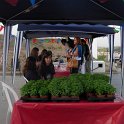 Arraial Ejaf 2010 127